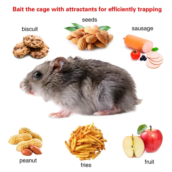 2 Pcs Humane Mouse Trap, High Sensitivity Gravity Pedal Auto-Lock Rodent Trap - Sturdy Galvanized Steel, Escape-Proof Small Mesh Design, Safe For Kids & Pets, Easy To Use Indoors&Outdoors For Mice,