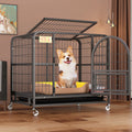 Detached Home Indoor Fenced Corgi Kennel
